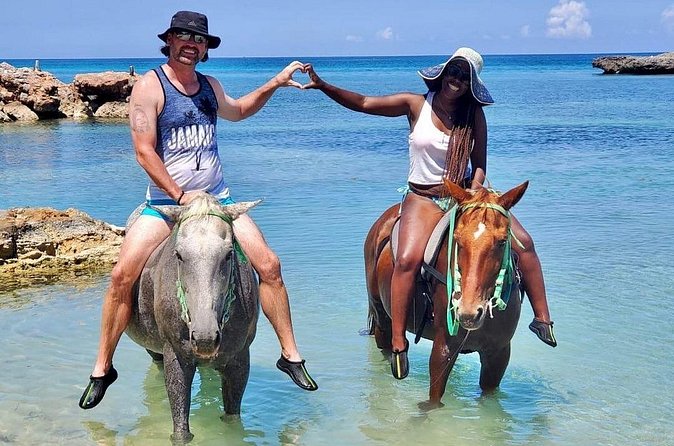Horseback Ride and Swim Jamaica - Gentle Horses and Responsible Handling