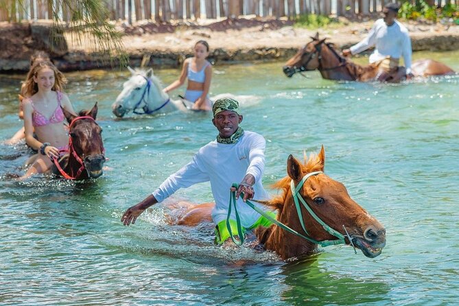 Horseback Ride and Swim Jamaica - Following the Beach Toward the Water
