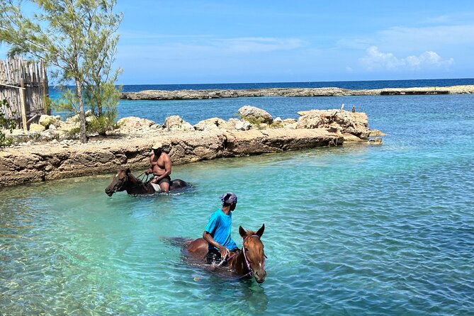 Horseback Ride and Swim Tour In Montego Bay - Price, group size, and who gets the most from it