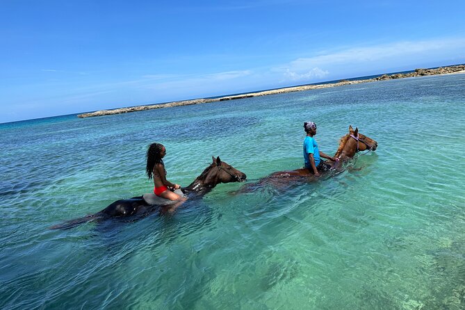 Horseback Ride and Swim Tour In Montego Bay - One hour through farmland and along the shore