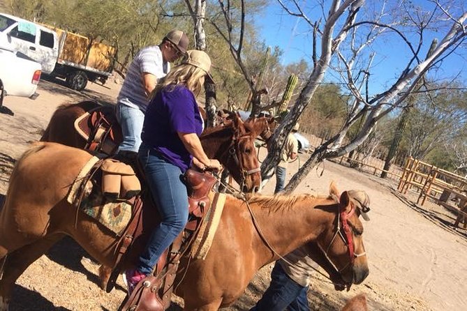 Horseback ride and witness magical sunset of Loreto, BCS - What the 90 Minutes in the Saddle Feel Like