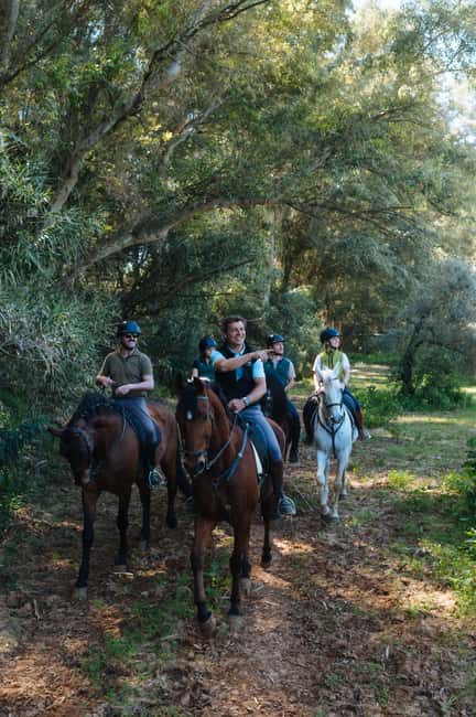 Horseback ride around Doñana National Park - Key points to know before booking