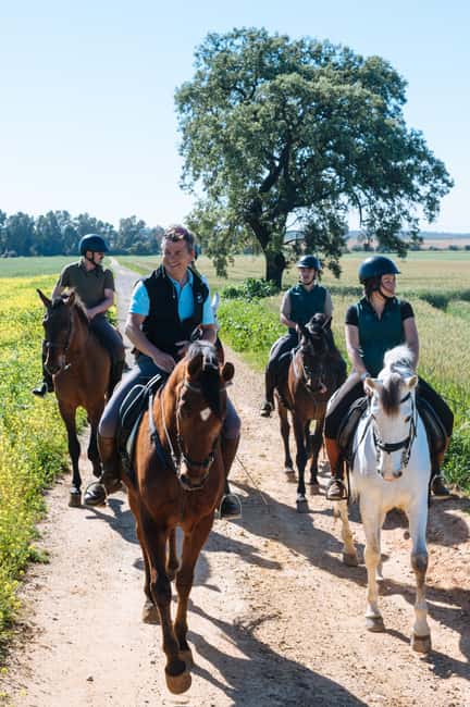 Horseback ride around Doñana National Park - From Seville streets to a family-run horse farm
