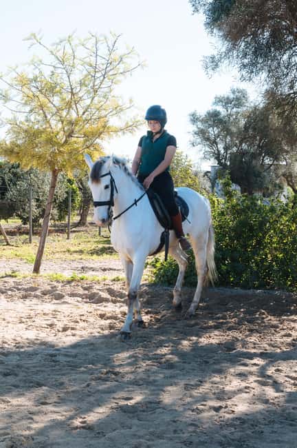 Horseback ride around Doñana National Park - Returning to the stables for a closer connection