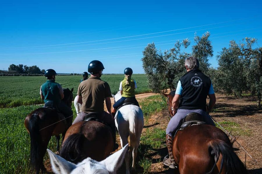 Horseback ride around Doñana National Park - Should you book the Centro Ecuestre El Acebuche ride?