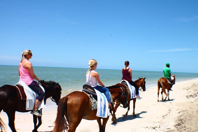 Horseback Ride ATV and Bamboo Rafting Tour Ocho Rios in Jamaica - Timing matters most for cruise passengers
