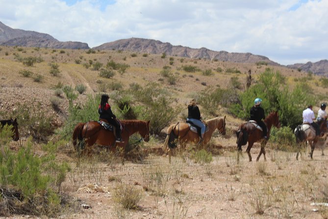 Horseback Ride in Las Vegas - Age, weight, and physical requirements