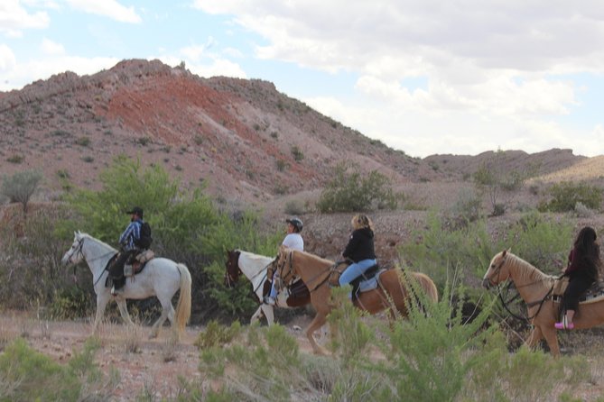 Horseback Ride in Las Vegas - Communication and booking cautions