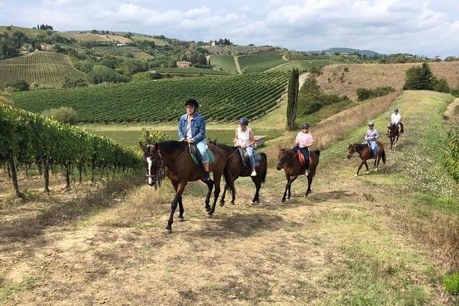 Horseback Ride in S.Gimignano with Tuscan Lunch Chianti Tasting - Key points to know before booking