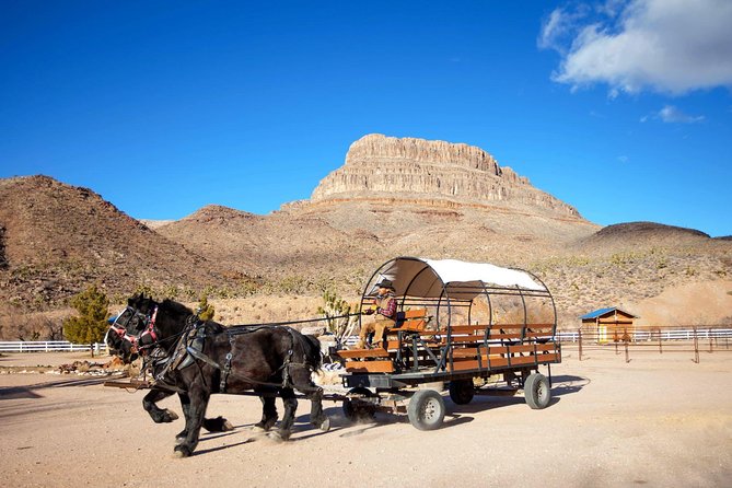 Horseback Ride Joshua Tree Forest Buffalo Lunch Singing Cowboy - A cowboy morning beyond Kingman