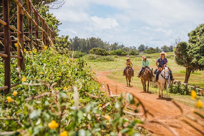 Horseback Ride Like an Authentic Paniolo in Kahuku - Key points before you book
