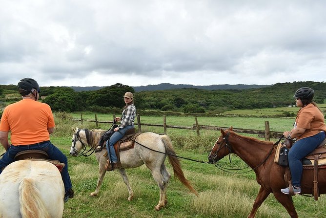 Horseback Ride Like an Authentic Paniolo in Kahuku - A quiet horseback ride on Oahu’s North Shore