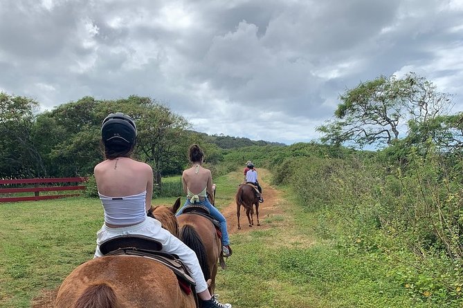 Horseback Ride Like an Authentic Paniolo in Kahuku - Is $155 a fair price?