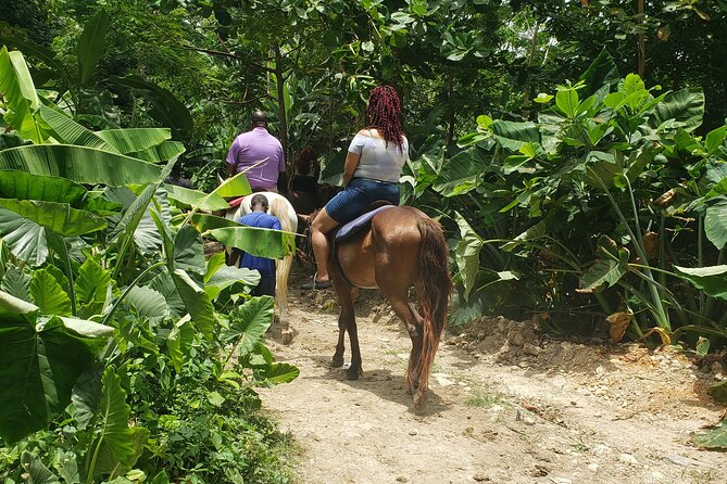 Horseback 'Ride N Swim' & Dunns River Falls from Montego Bay - From Montego Bay to Jamaica’s Forest and Sea