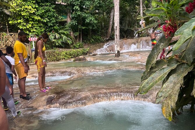 Horseback 'Ride N Swim' & Dunns River Falls from Montego Bay - What the Private Arrangement Really Adds
