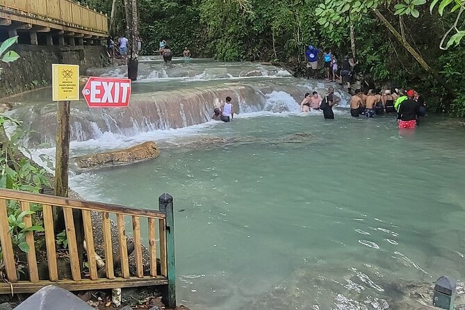 Horseback 'Ride N Swim' & Dunns River Falls from Montego Bay - Who Will Get the Most From This Tour