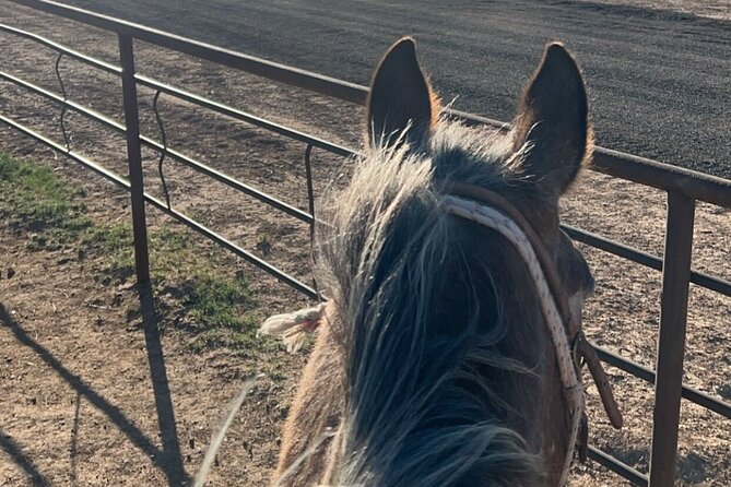 Horseback Ride near the Grand Canyon's West Rim - Group size, timing, and practical planning