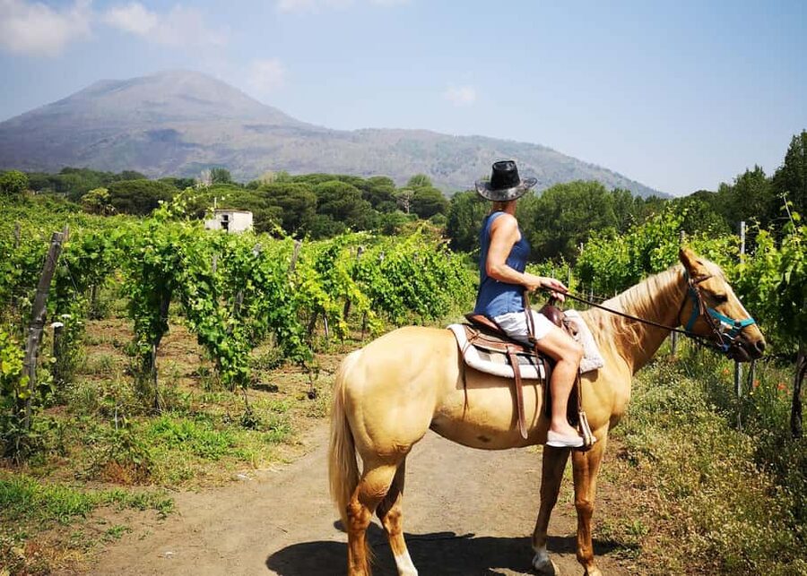 Horseback Ride on Mt. Vesuvius - The crater question: what this ride does not do