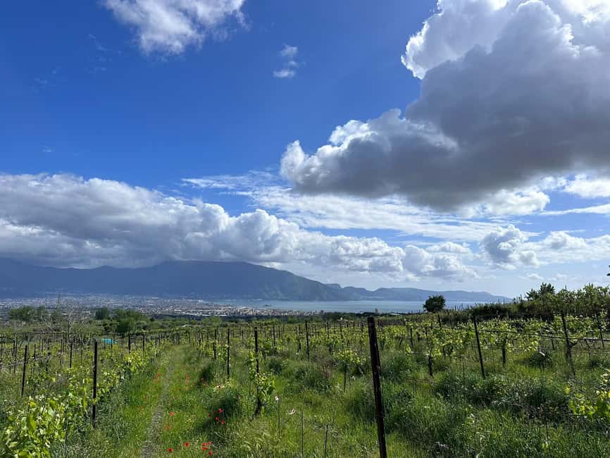 Horseback Ride on Mt. Vesuvius - Getting comfortable with the horses