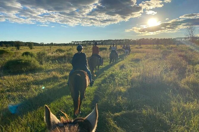 Horseback Ride on Scenic Lake Louisa Trails - Key points to know before you book