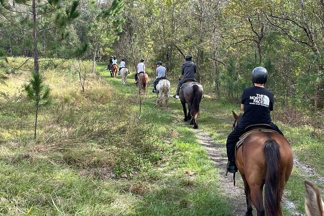 Horseback Ride on Scenic Lake Louisa Trails - Riding several miles through Lake Louisa State Park