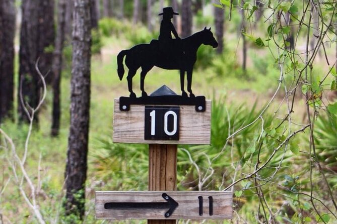 Horseback Ride on Scenic Lake Louisa Trails - What $79 really gets you