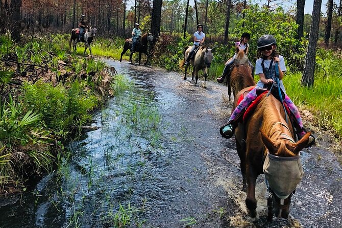 Horseback Ride on Scenic Lake Louisa Trails - Physical demands and strict eligibility rules