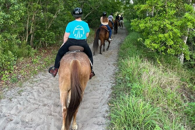 Horseback Ride on Scenic Lake Louisa Trails - Who will enjoy this ride most