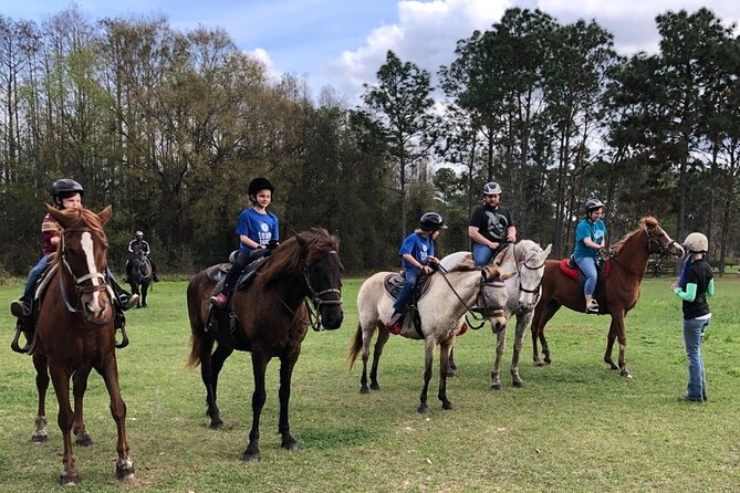 Horseback Ride on Scenic Lake Louisa Trails - Why beginners tend to settle in quickly