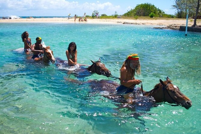 Horseback Ride & Swim Jamaica/Montego Bay - From Montego Bay to the St. Ann Horseback Meeting Point
