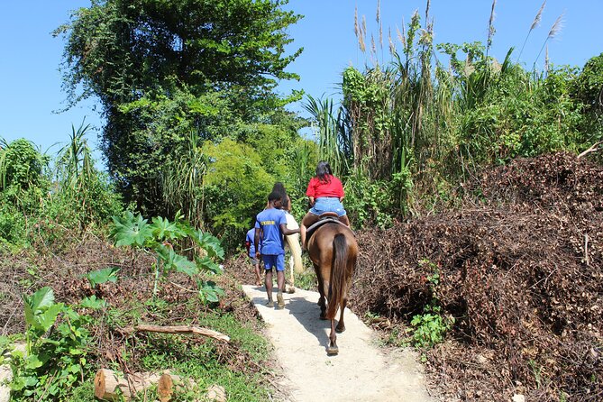Horseback Ride & Swim Jamaica/Montego Bay - Photos, Guides, and the Human Touch
