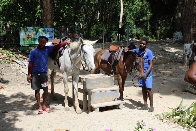 Horseback Ride & Swim Jamaica/Montego Bay - Is $150 a Fair Price?