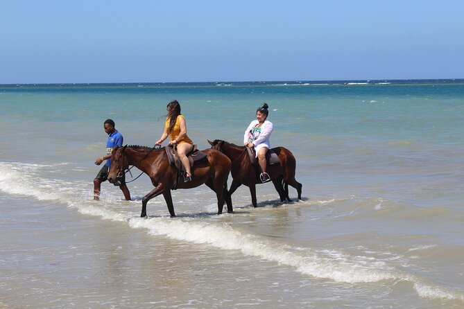 Horseback Ride & Swim Jamaica/Montego Bay - Should You Book the Horseback Ride and Swim?