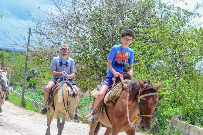 HORSEBACK - RIDE Through Punta Cana - The Horse Welfare Question