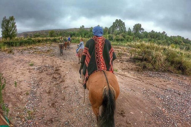 Horseback ride through vineyards followed by gourmet lunch - Why this ride is different from a standard Mendoza winery tour