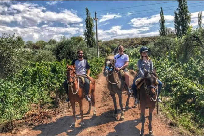 Horseback ride through vineyards followed by gourmet lunch - Who will enjoy this most