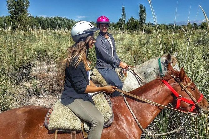 Horseback ride through vineyards followed by gourmet lunch - From Mendoza City to Lunlunta by minivan