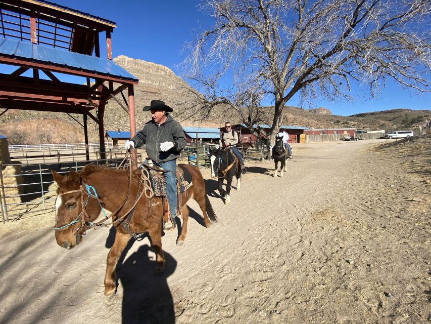 Horseback Ride thru Joshua Tree Forest with Buffalo & Lunch - A Joshua Tree ride with buffalo in the picture