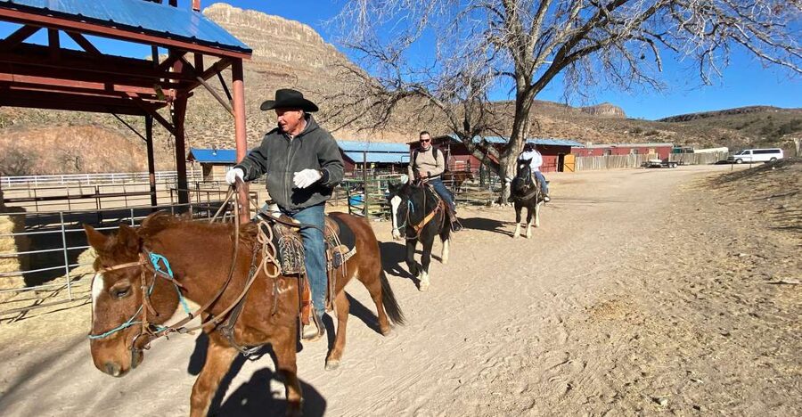Horseback Ride thru Joshua Tree Forest with Buffalo & Lunch - Riding through the Joshua Tree Forest