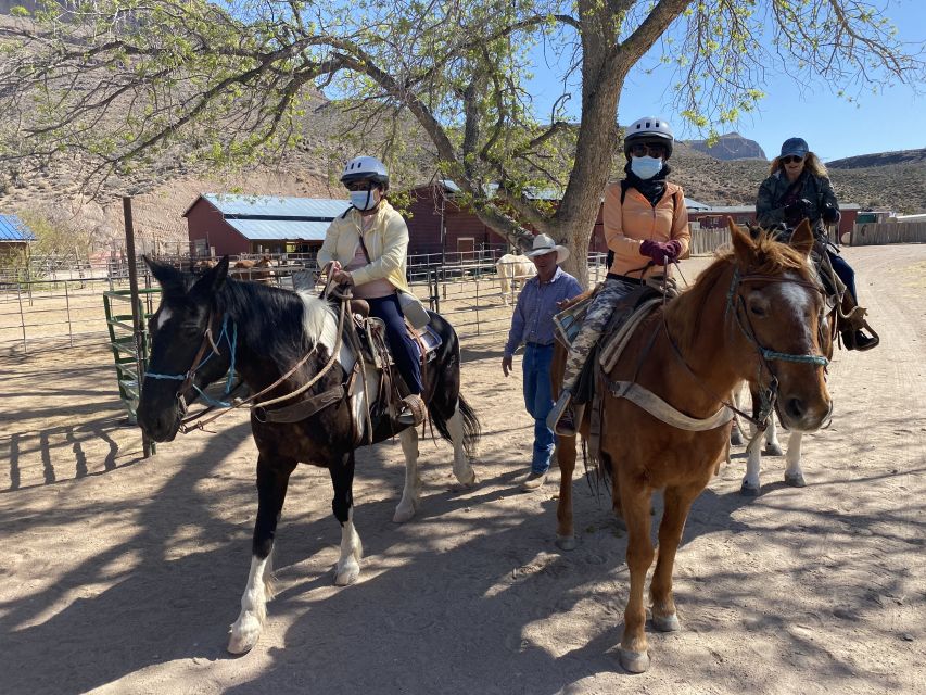 Horseback Ride thru Joshua Tree Forest with Buffalo & Lunch - Buffalo viewing without turning the ride into a zoo visit