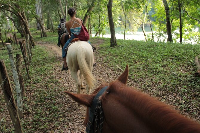 Horseback Ride to Xunantunich Maya Ruins - Returning by horse to the stables