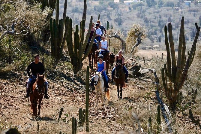 Horseback Ride Tour to Natural Pool in Arikok National Park - Riding from Rancho Loco into Arikok National Park