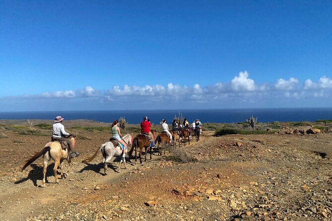 Horseback Ride Tour to Natural Pool in Arikok National Park - What $155 includes, and where the value lies