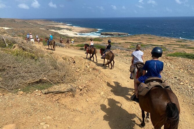 Horseback Ride Tour to Natural Pool in Arikok National Park - Morning or afternoon timing