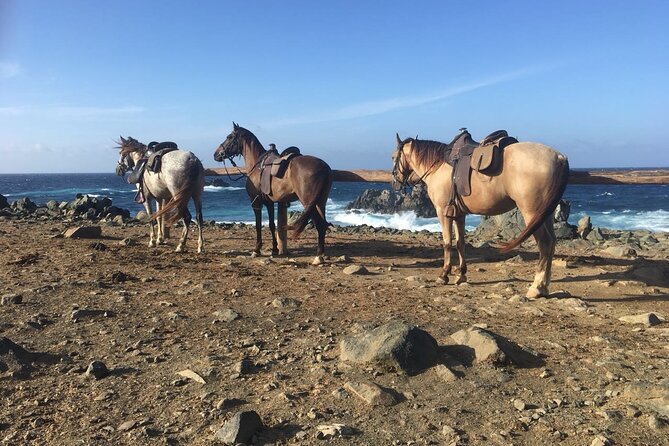 Horseback Ride Tour to Natural Pool in Arikok National Park - Who will enjoy this ride most