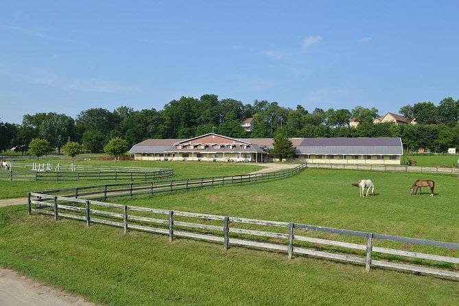 Horseback Rides, Interactions, and Petting Zoo - The $120 price requires a careful look