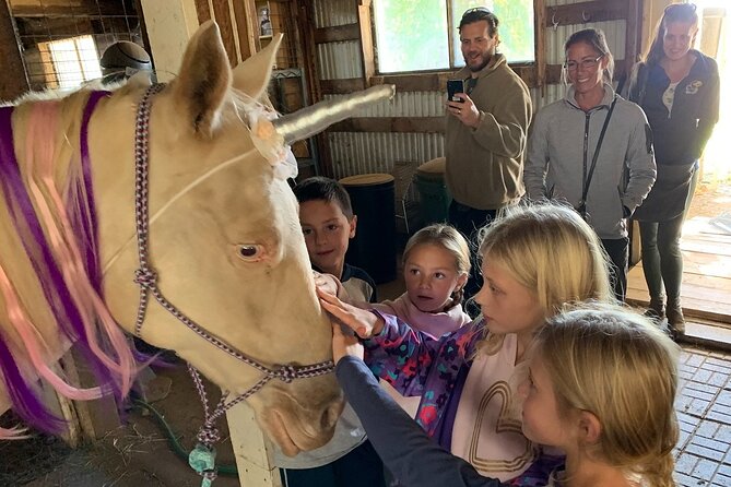 Horseback Rides, Interactions, and Petting Zoo - Meeting goats, mini pigs, and small farm animals