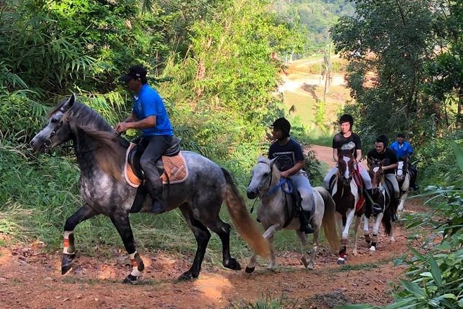 Horseback Riding 1 hour trail - A Rural Ride Above Chalong
