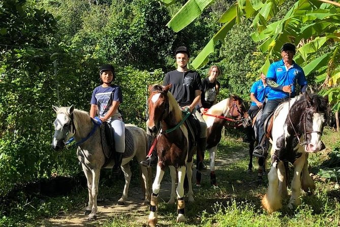 Horseback Riding 1 hour trail - The Briefing Comes Before the Trail