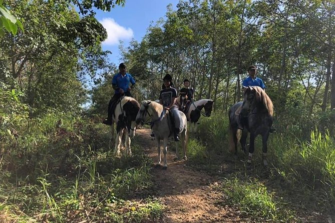 Horseback Riding 1 hour trail - What $68 Gets You